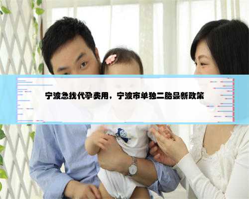 宁波急找代孕费用，宁波市单独二胎最新政策