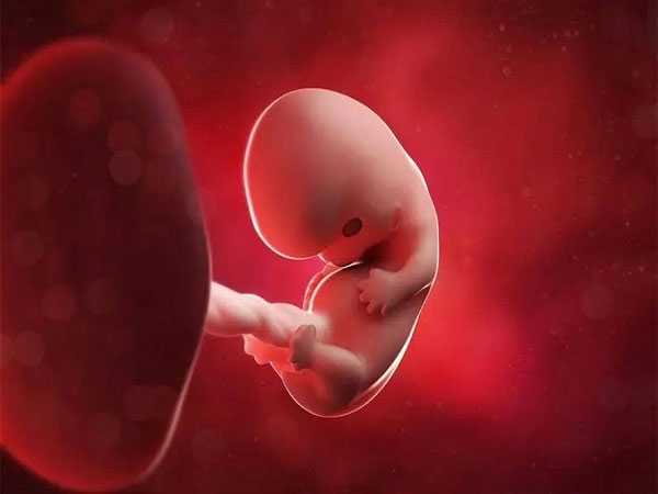 2022年西安能助孕双胞胎的试管医院名单，身体达标后才能够进行