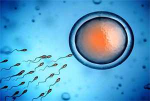 在武汉同济医院做三代试管婴儿可以选择胚胎性别吗？