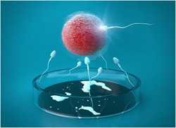 宁波供卵生子的隐患,警惕！影响卵子质量的7大隐患